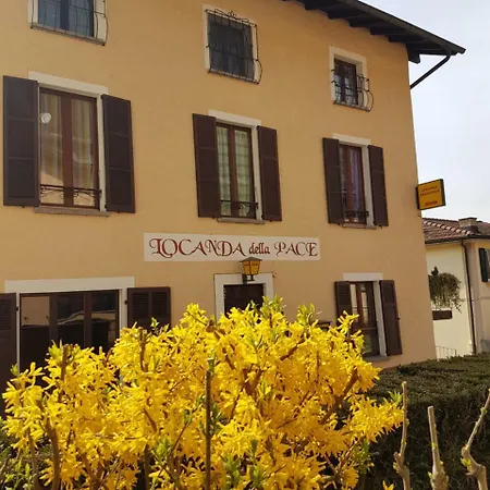 Della Pace Sessa